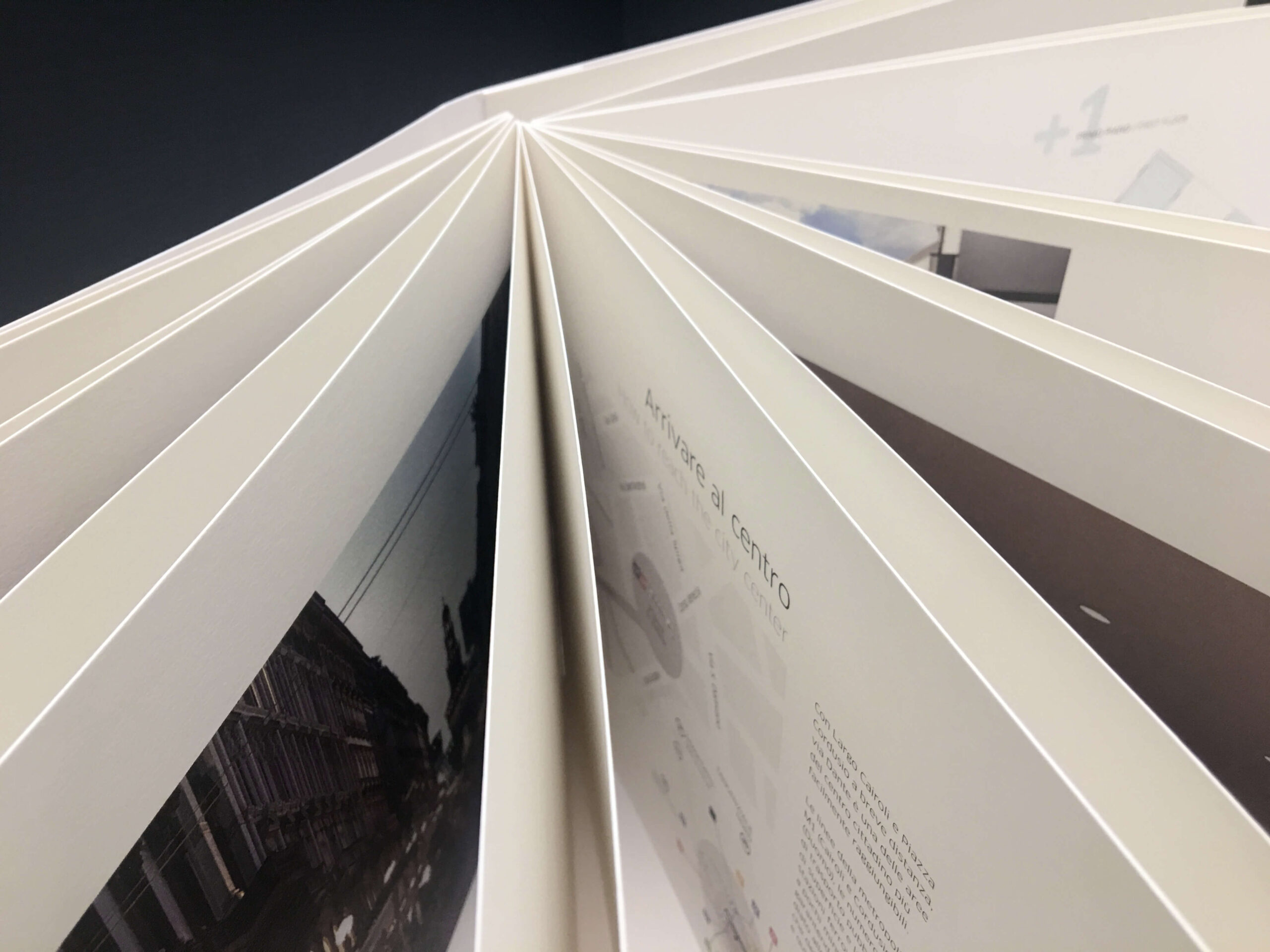 hines_dante_16_brochure_25